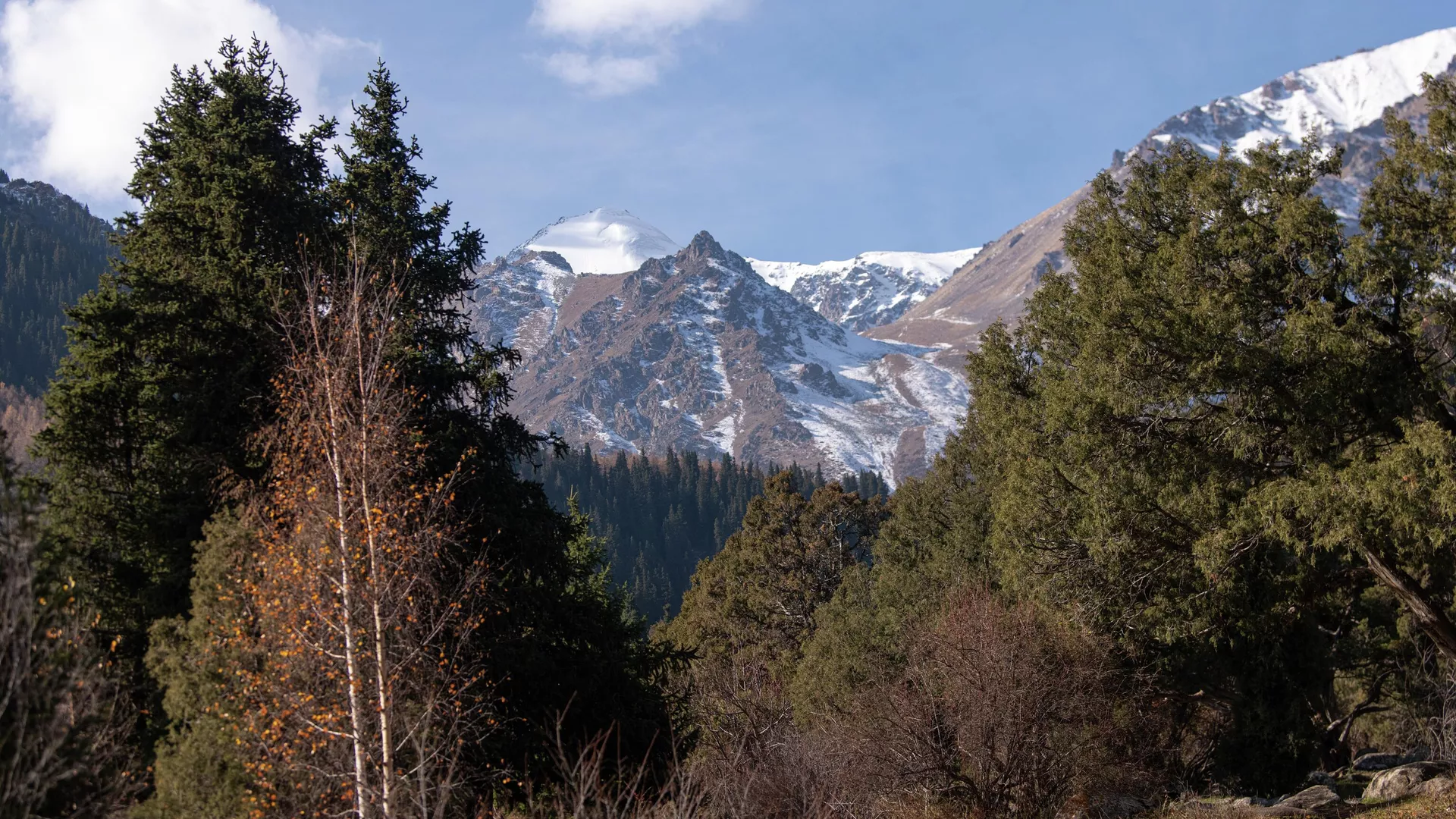 тепло и комфортно в узбекистане и кыргызстане: погода в понедельник, 4 ноября 2024