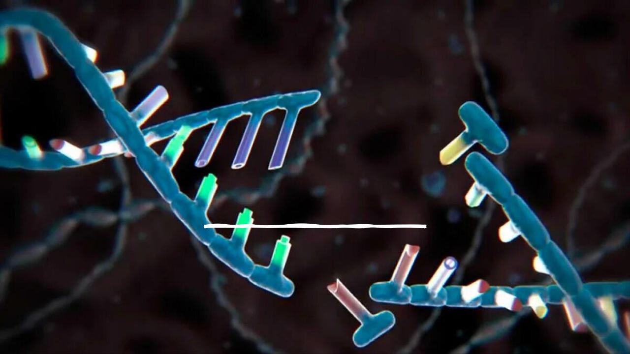 у жителей узбекистана обнаружены десятки генных мутаций из-за родственных браков