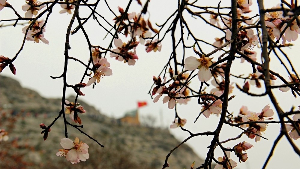 тепло, дожди и грозы: погода в странах центральной азии в субботу, 9 марта 2024