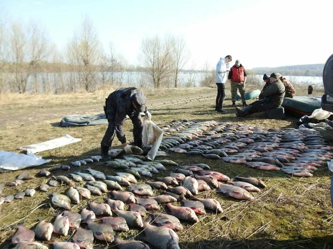  в казахстане ужесточается законодательство, направленное на борьбу с браконьерством