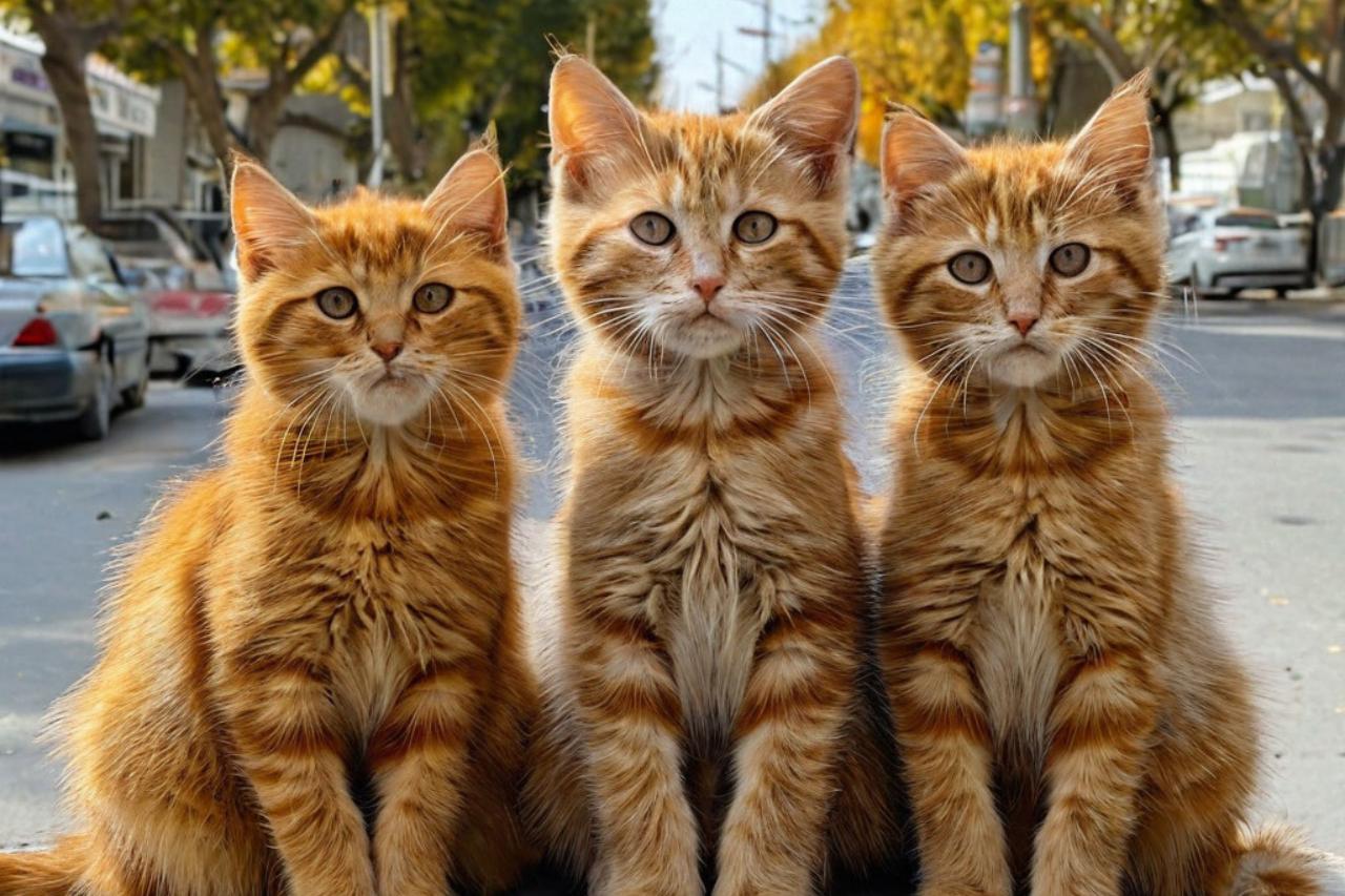 какая погода ожидается в центральной азии в понедельник, 3 марта 2025