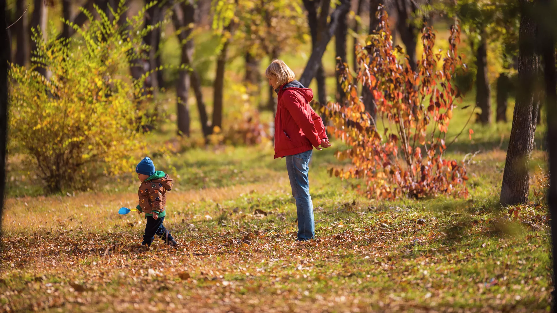 дожди и холод в узбекистане, без осадков в кыргызстане: погода в среду, 30 октября 2024