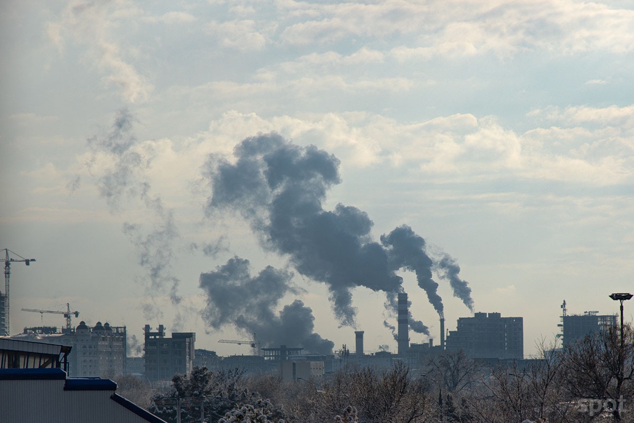 в узбекистане теплицы могут отказаться от угля