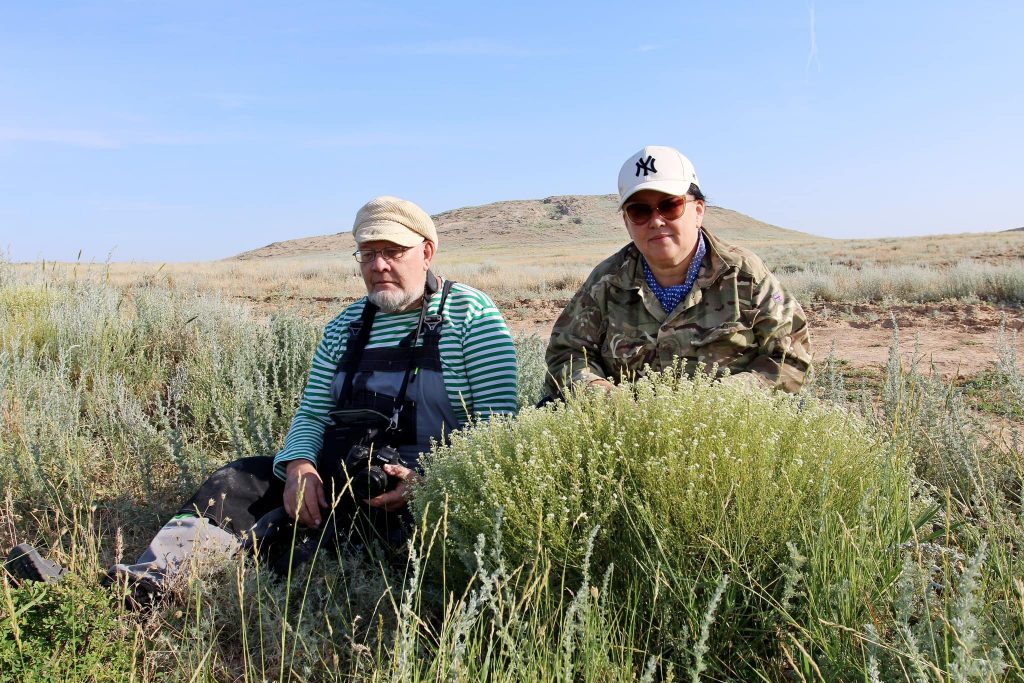 ученые из россии и казахстана обнаружили новый вид растения