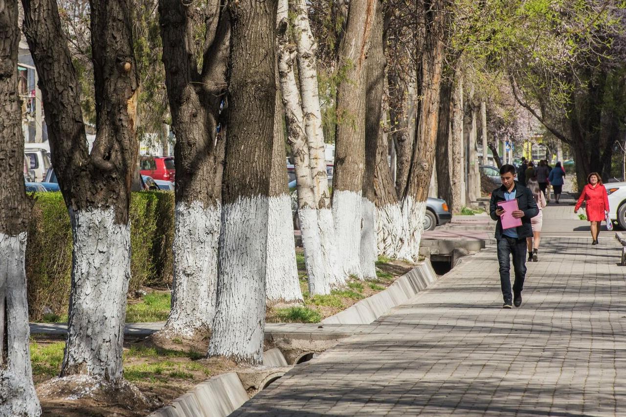 какая погода ожидается в центральной азии в понедельник, 10 марта 2025