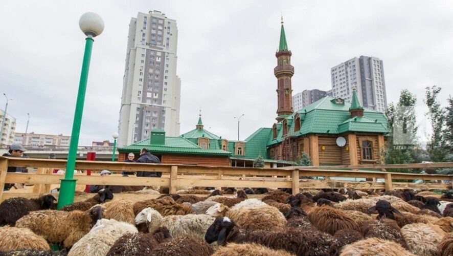 Курбан-байрам 2025: где и как совершить жертвоприношение в Центральной Азии (список мест)
