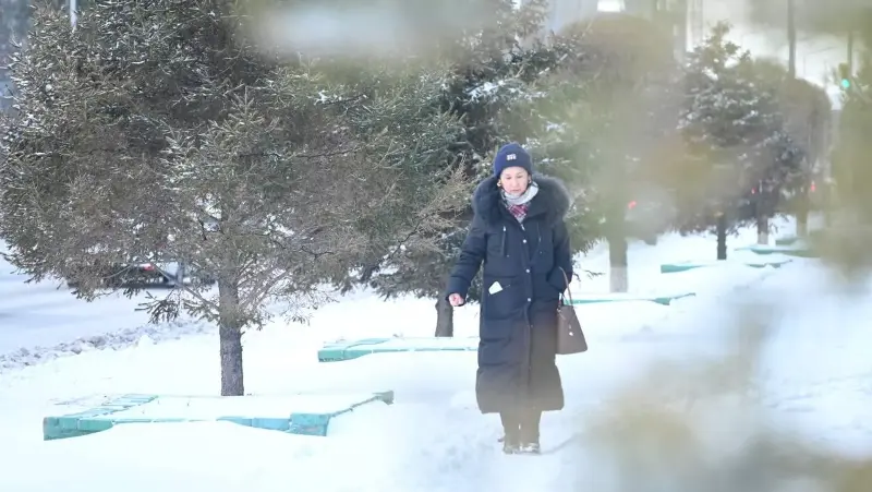 холод и снегопады придут в казахстан: погода в четверг, 7 ноября 2024