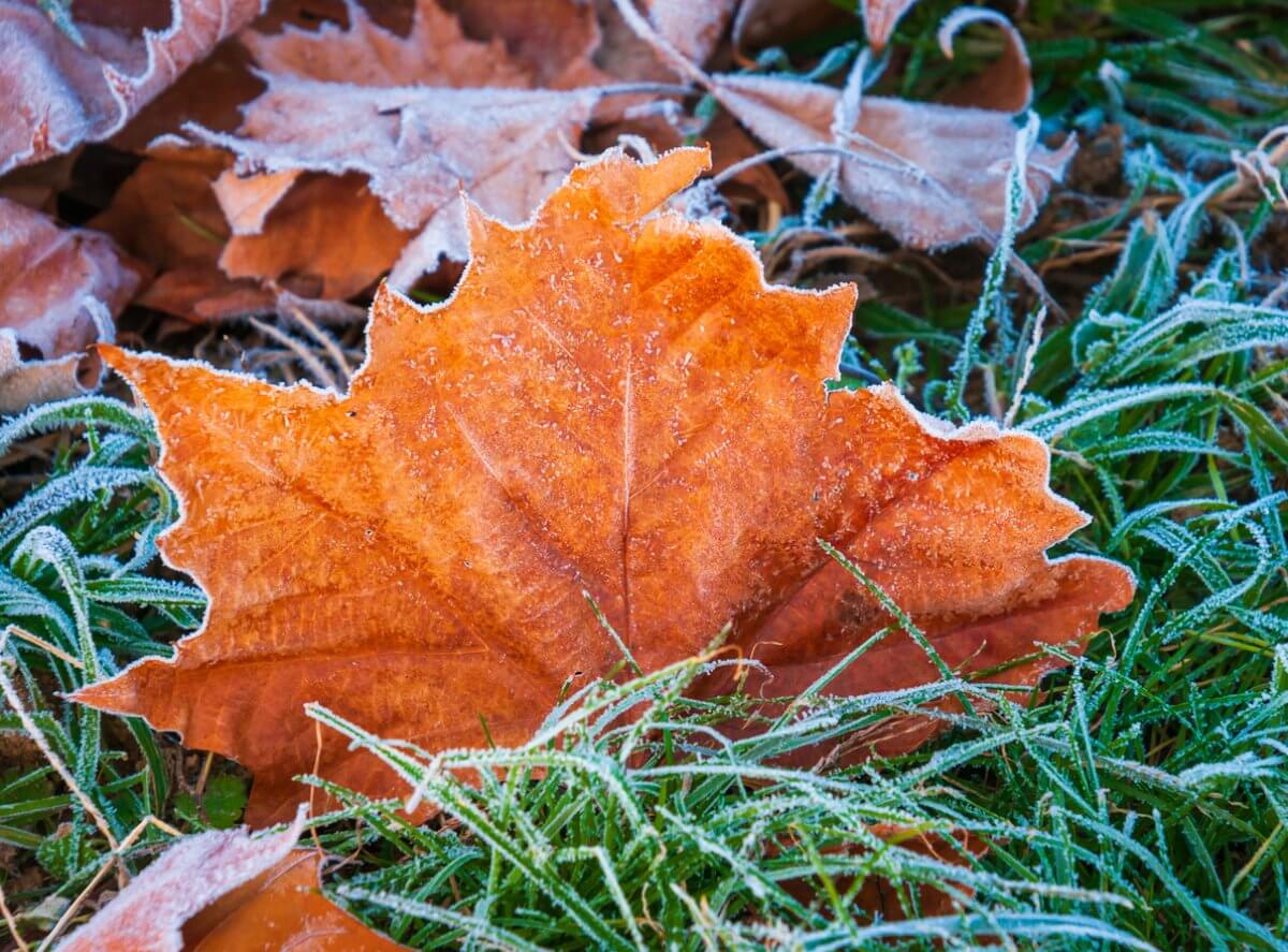 в казахстане настает пора доставать теплые вещи: погода в пятницу, 6 сентября 2024