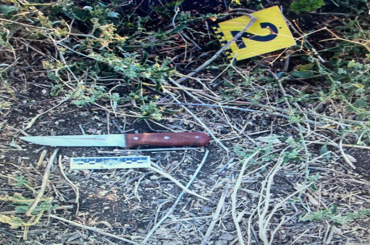 студент напал с ножом на преподавателя в университете алматы