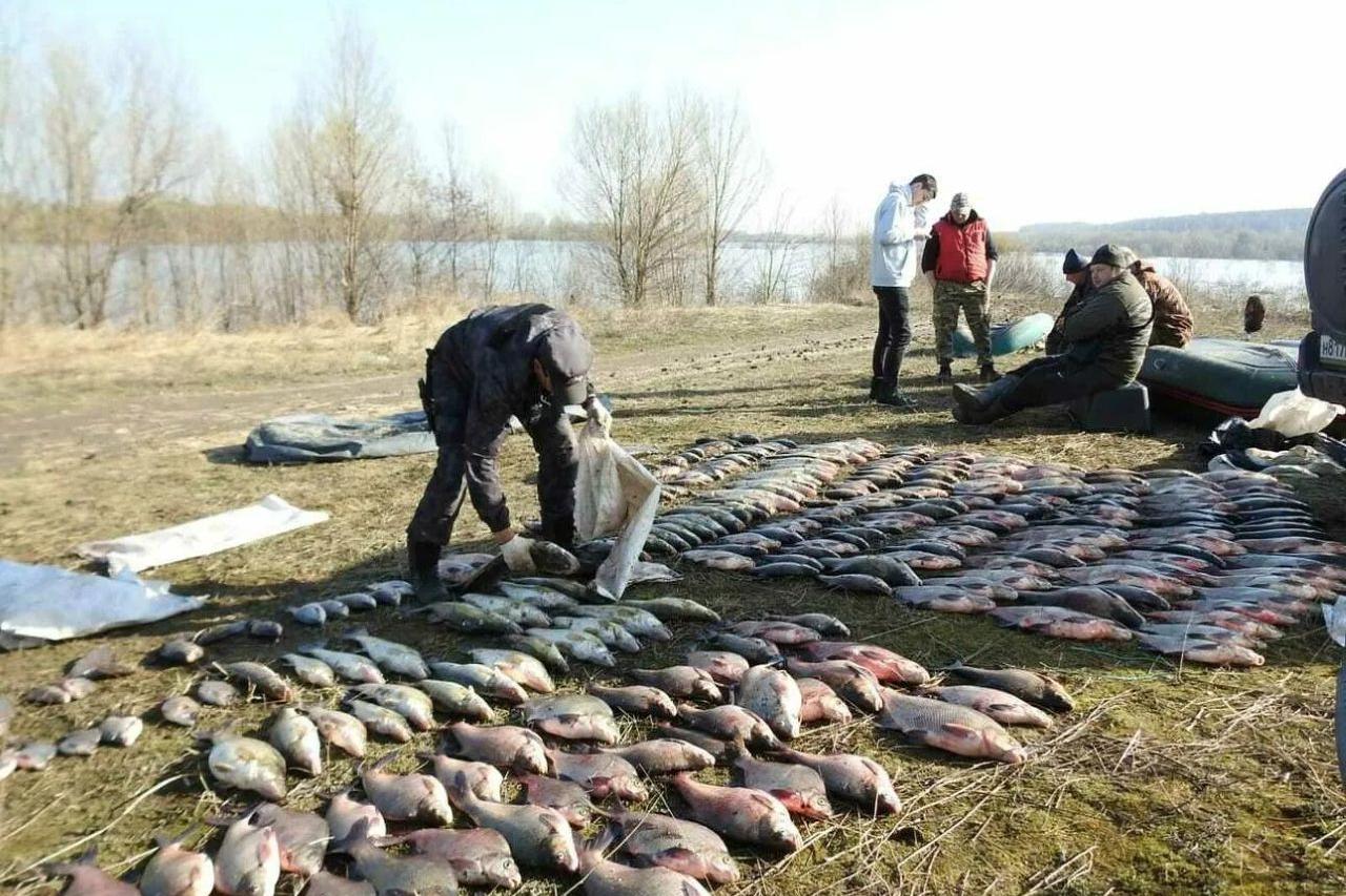  в казахстане ужесточается законодательство, направленное на борьбу с браконьерством
