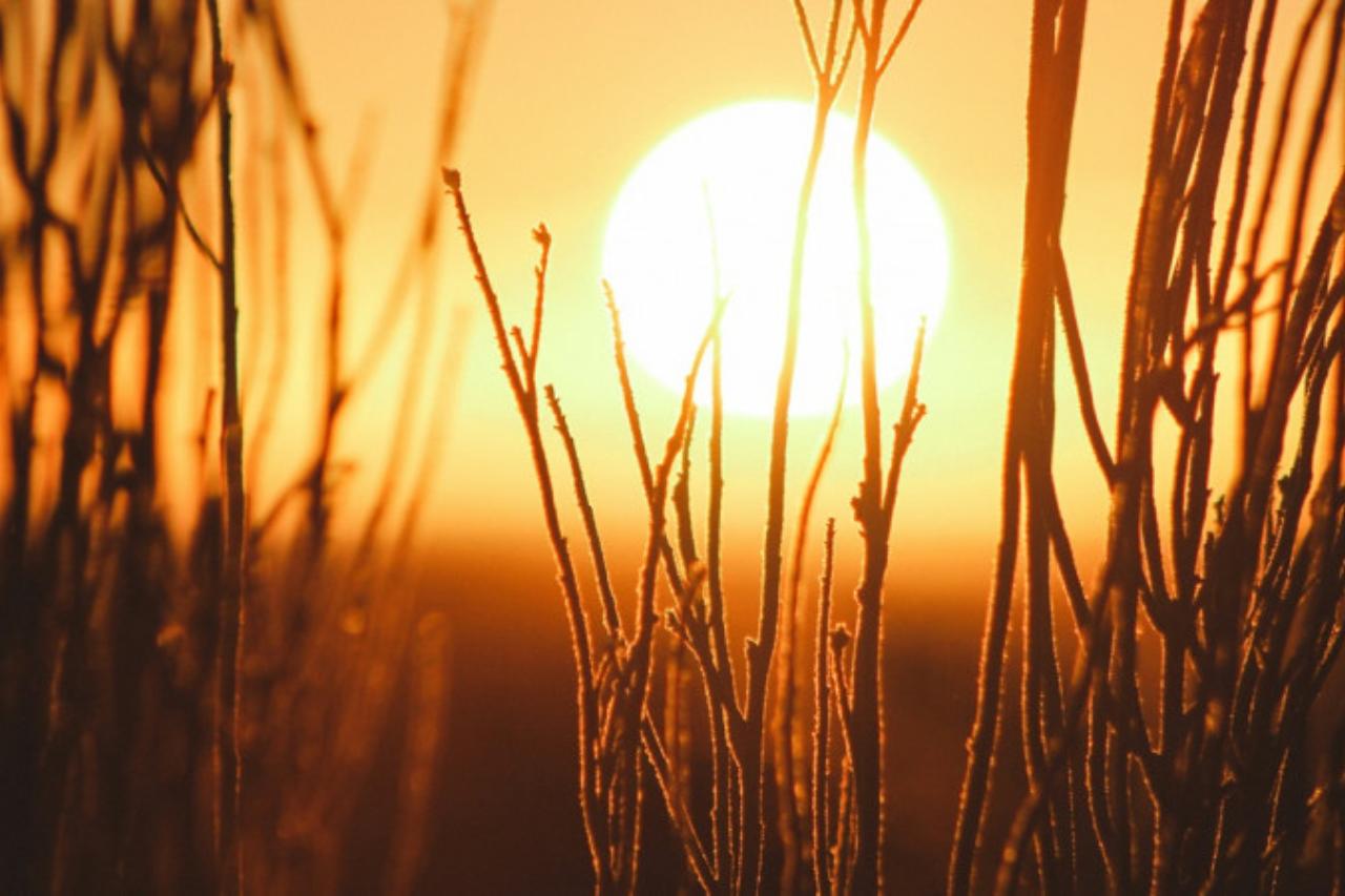 магнитная буря над центральной азией: что ждать 31 марта 2025