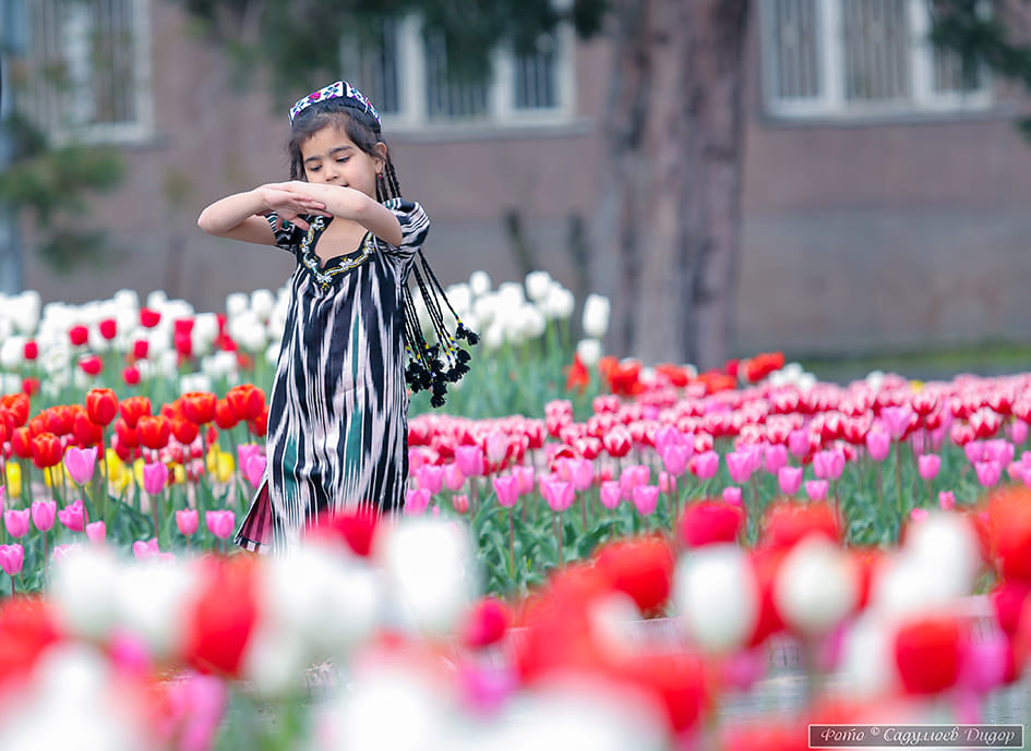погода, в странах центральной азии, 25 октября 2023 года: в алма-ате +17, в душанбе +26