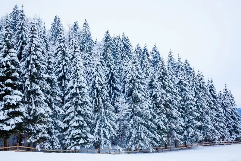 штормовое предупреждение вновь объявили в казахстане: погода на среду, 28 февраля