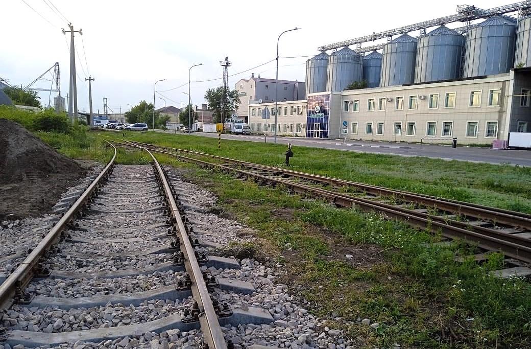 российская пшеница может вытеснить казахстанскую из-за резкого роста ж/д тарифов 