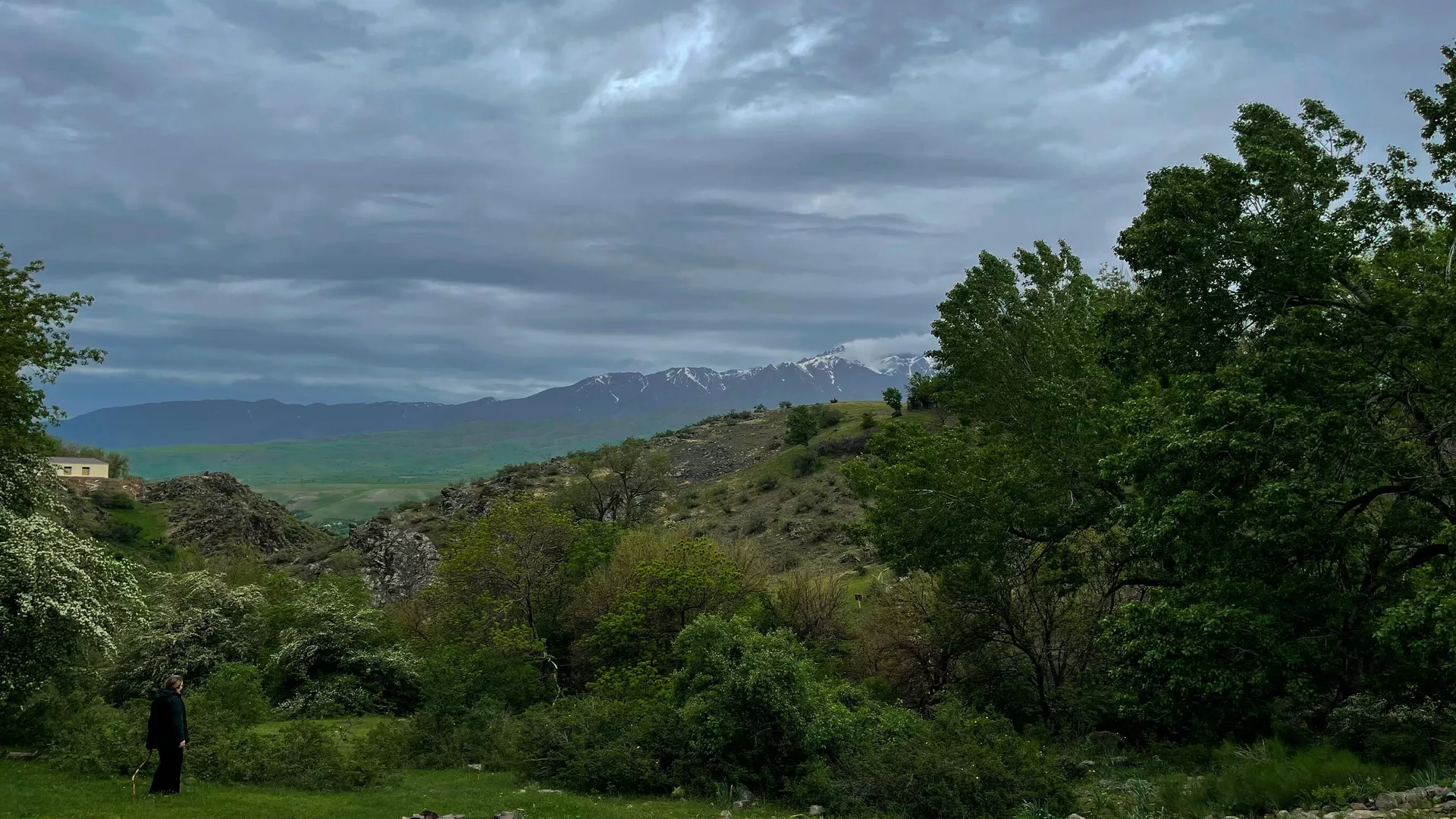 сильные дожди в кыргызстане, жара в узбекистане: погода в четверг, 29 августа 2024