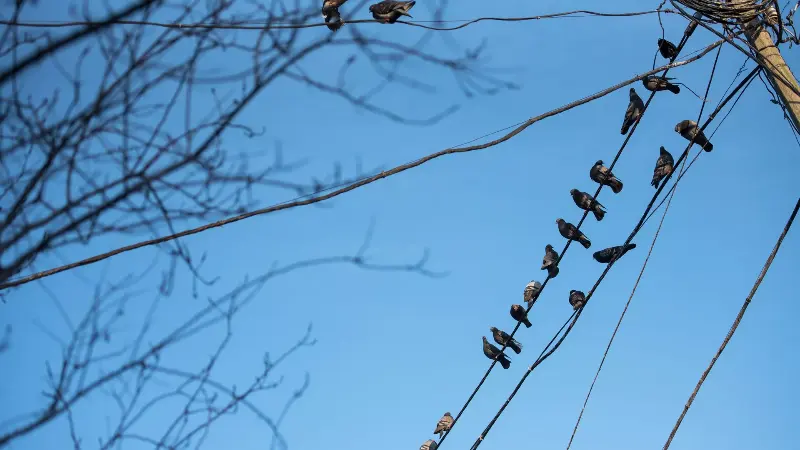 весенняя прохлада до +15 градусов: погода в странах центральной азии в среду, 6 марта 2024