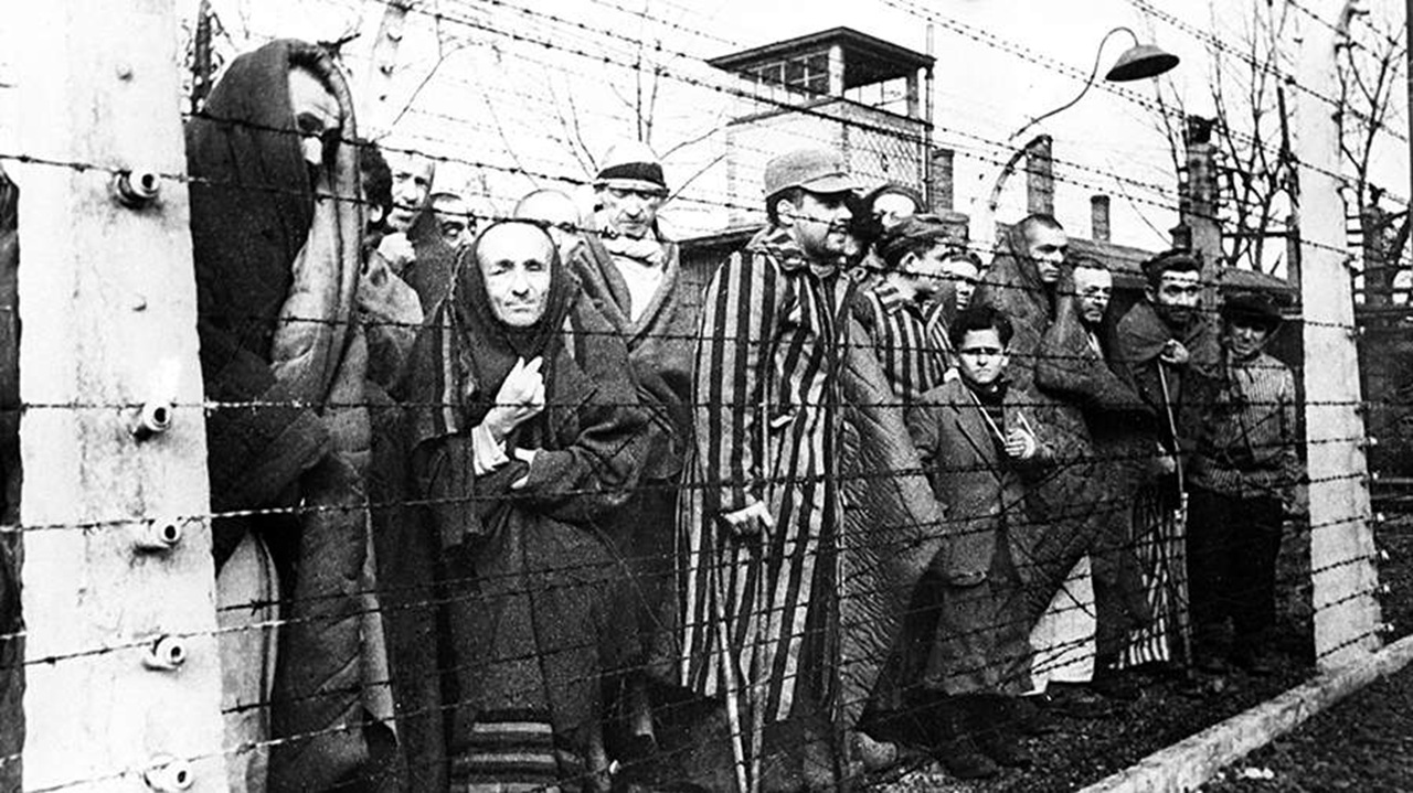 политик из германии призвала берлин признать геноцид советского народа