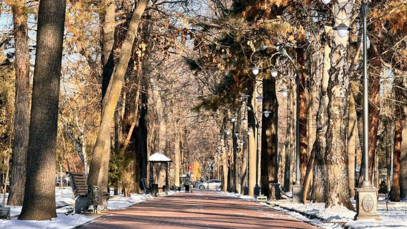 какой будет погода в странах центральной азии во вторник, 24 декабря 2024