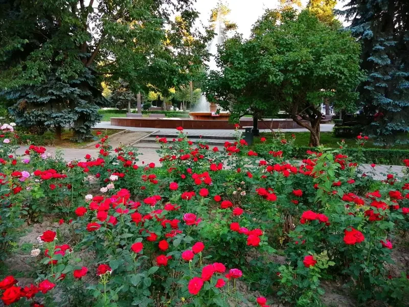 прогноз погоды в казахстане, узбекистане и кыргызстане на предстоящую неделю, 10-16 июня 2024