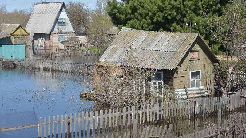 в казахстане из-за паводка погибли более 5,7 тыс. сельскохозяйственных животных