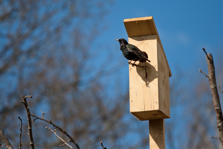 преимущественно сухо и тепло: погода в странах центральной азии в понедельник, 1 апреля 2024