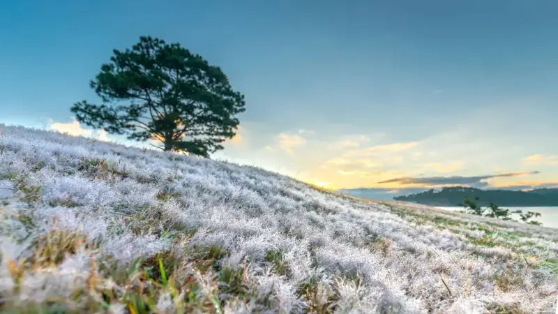 похолодание идет в казахстан: погода во вторник, 3 сентября 2024