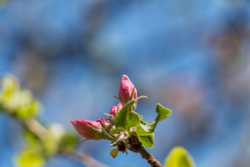 восьмое марта будет теплым. погода на четверг, 8 марта 2024 в странах центральной азии