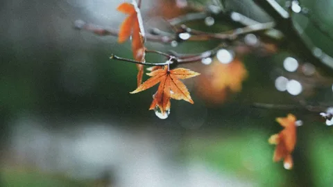 дожди пройдут в узбекистане и кыргызстане: погода на предстоящую неделю, с 28 октября по 2 ноября 2024