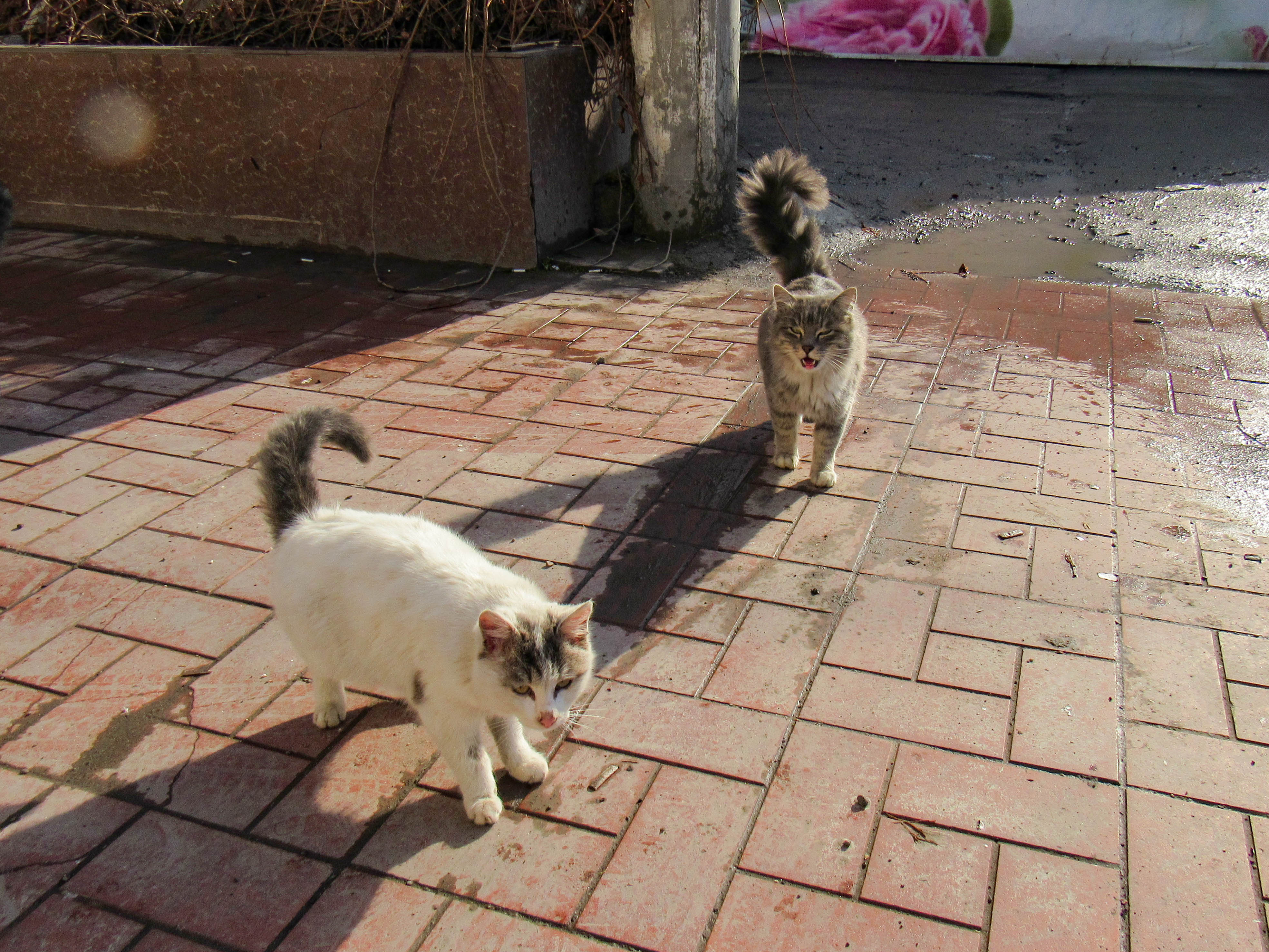 погода, в странах центральной азии, 6 сентября 2023 года: в астане +14, в душанбе +32