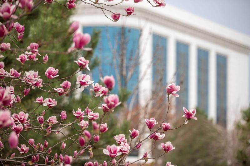 похолодание и дожди: погода в странах центральной азии в четверг, 21 марта 2024