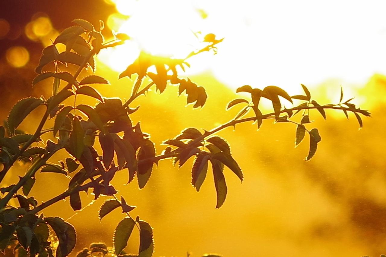 похолодание идет в казахстан: погода в четверг, 22 августа 2024