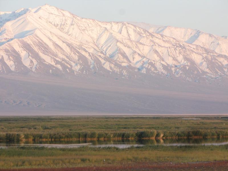 монголия и узбекистан подписали свыше 10 соглашений о сотрудничестве 