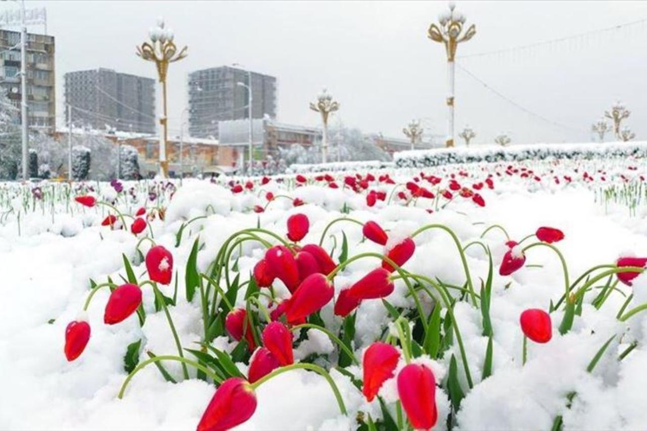 какая погода ожидается в центральной азии во вторник, 11 марта 2025