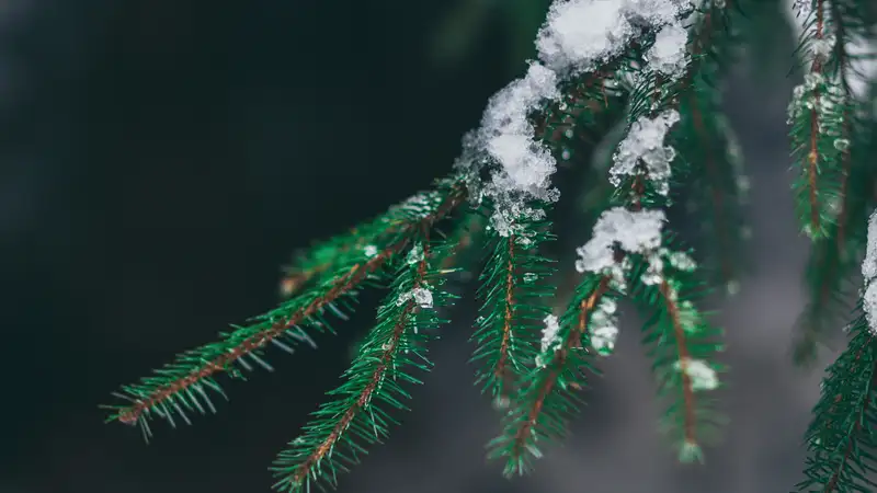 морозы до -38°с, снег и метель: погода в казахстане на 24 февраля 2024