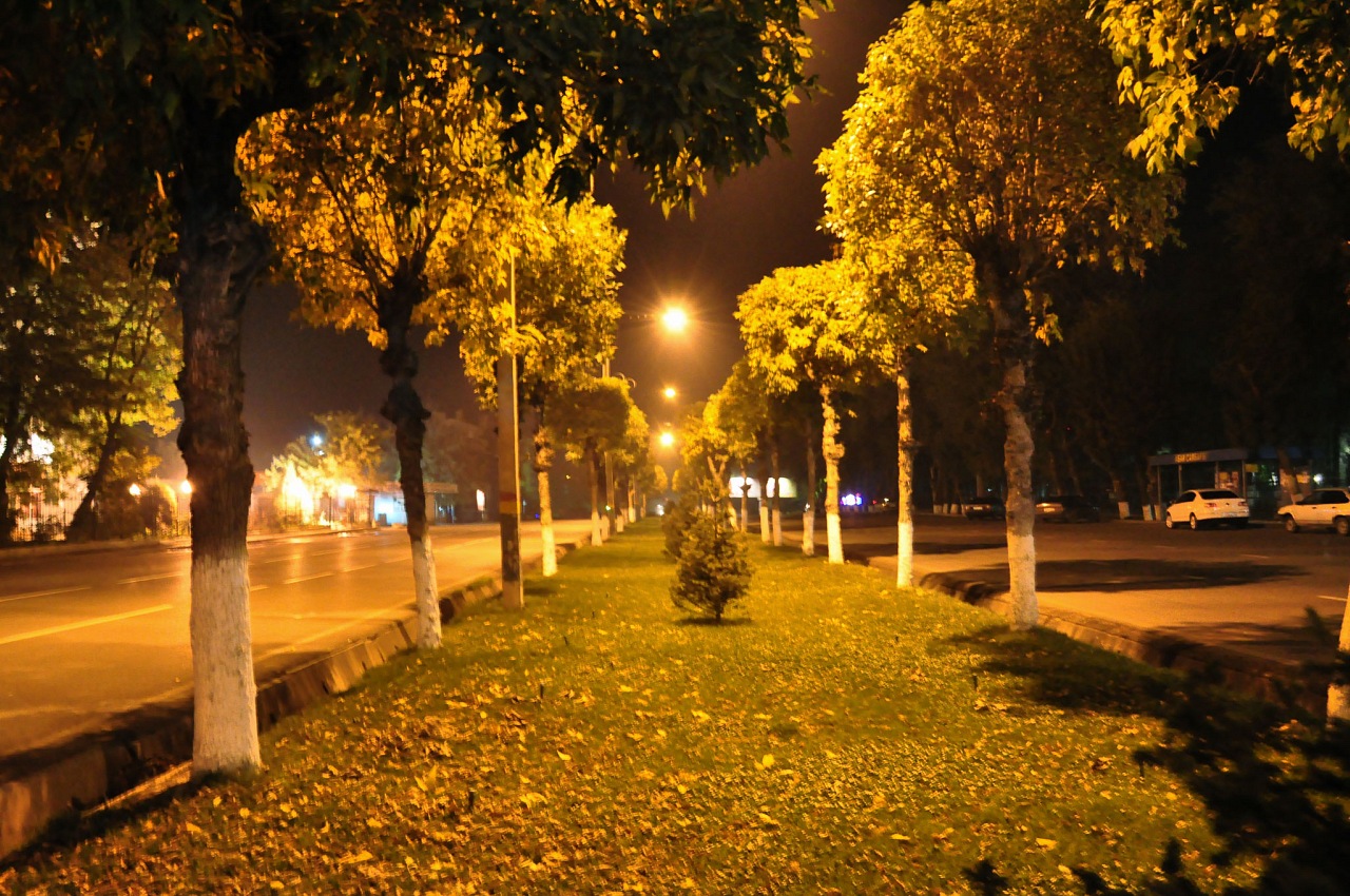 осенняя прохлада сохранится в казахстане в пятницу, 24 октября 2025 года