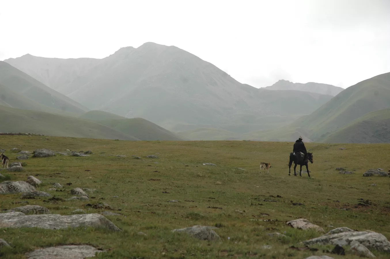 пасмурно в узбекистане, местами дожди в кыргызстане: погода в среду, 14 августа 2024