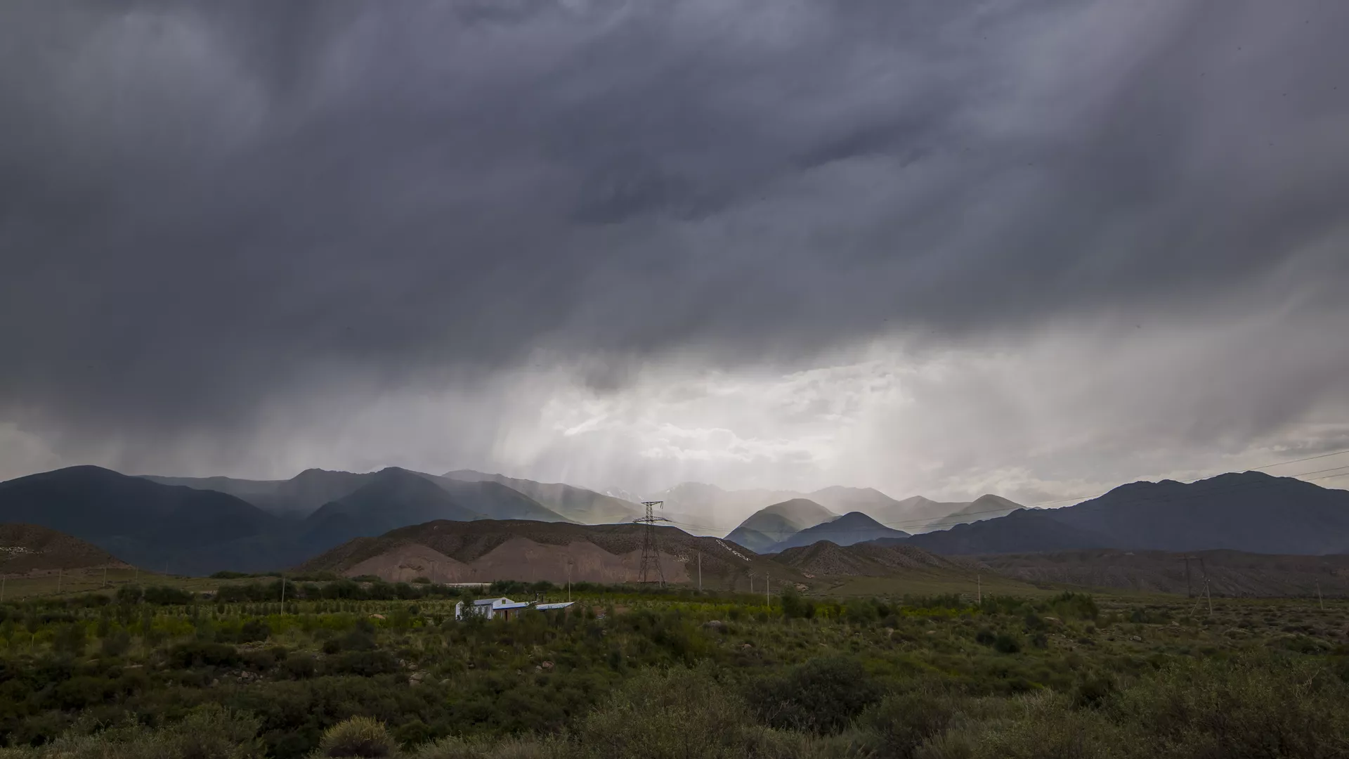 40-градусная жара в узбекистане и дожди в кыргызстане: погода в пятницу, 14 июня 2024