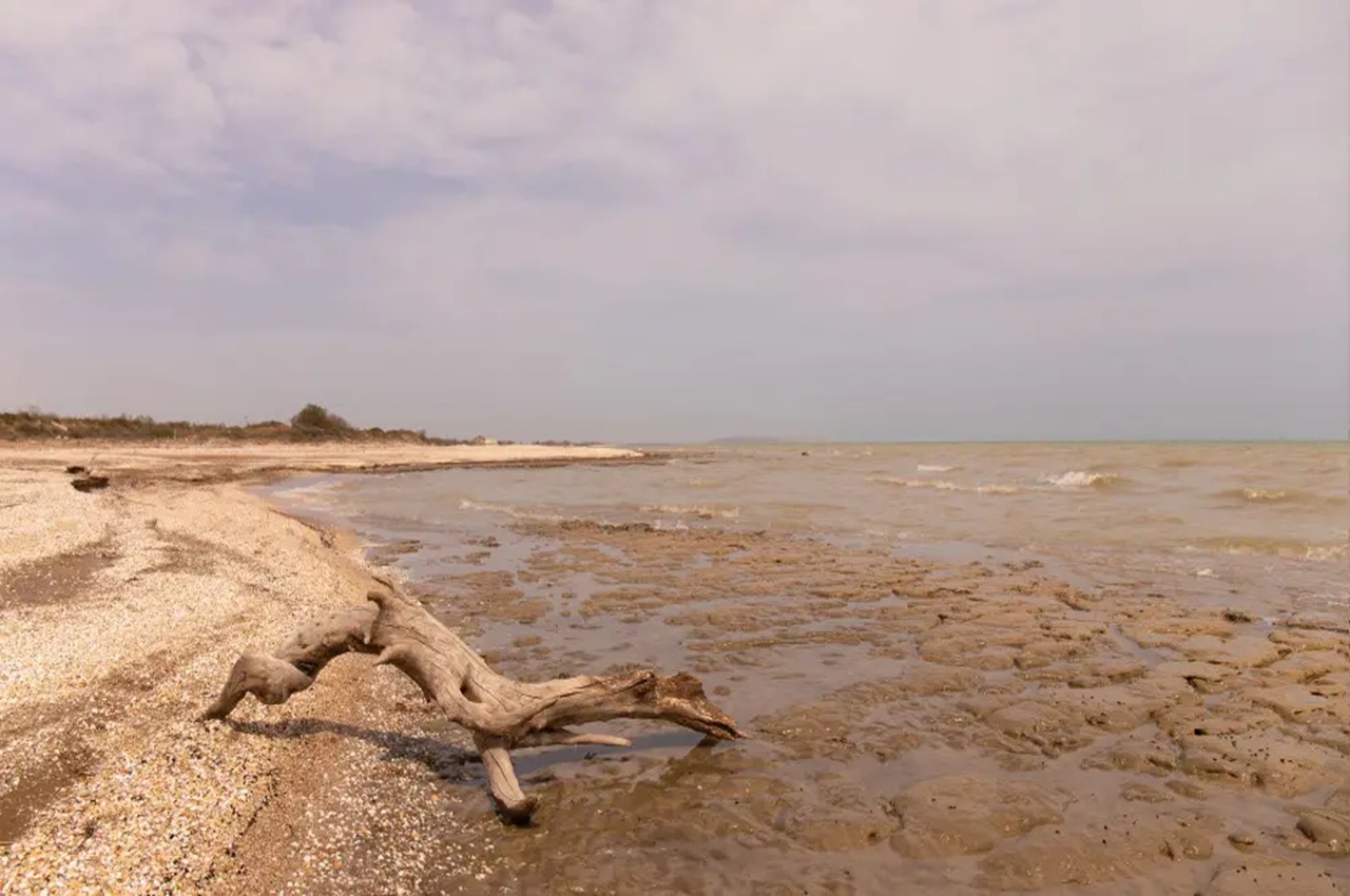 токаев на саммите «шос плюс» призвал к срочным действиям по спасению каспия