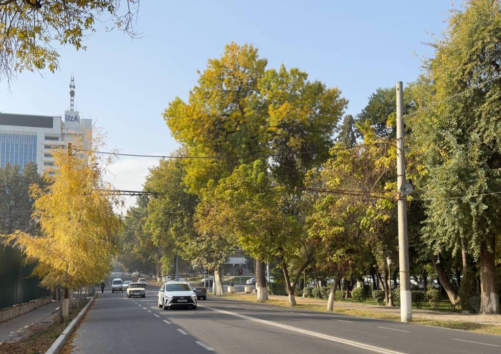 ясная и прохладная погода установится в узбекистане и кыргызстане: прогноз на пятницу, 18 октября 2024