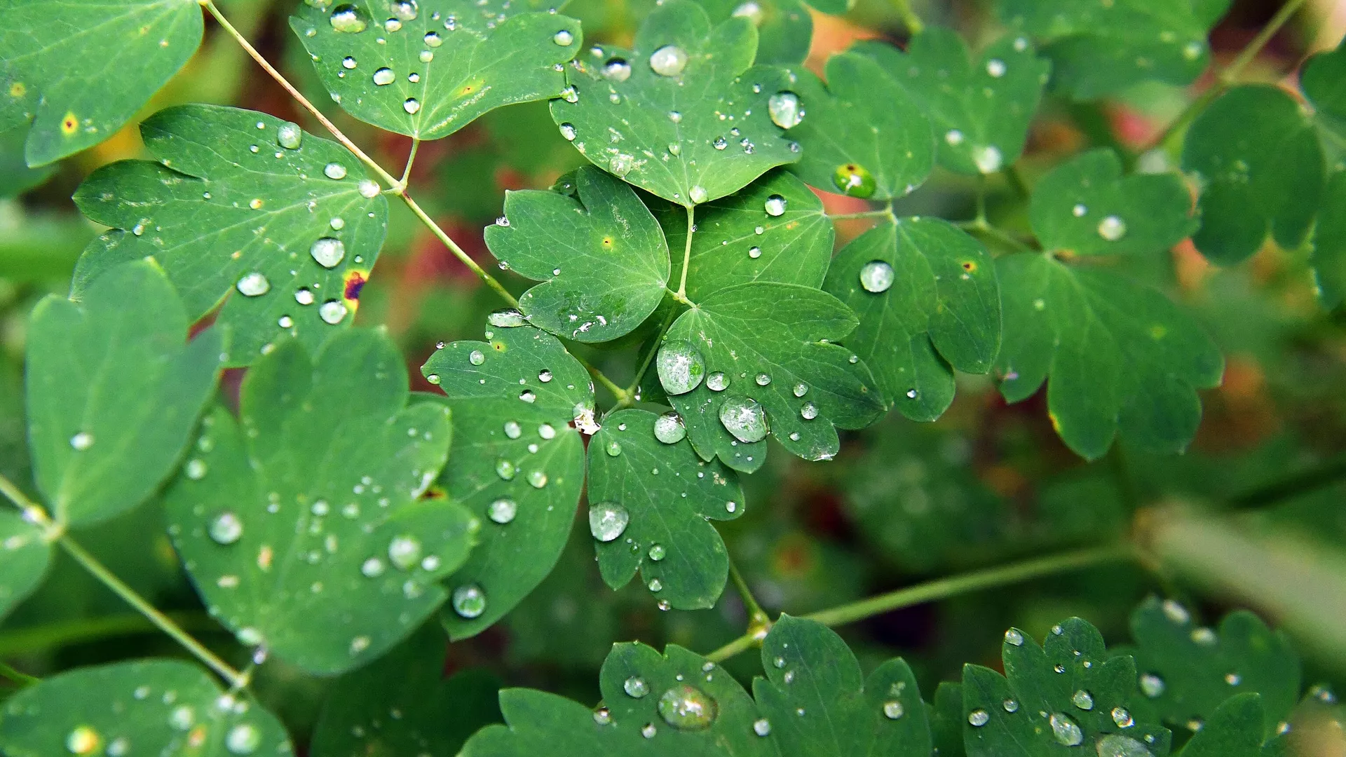 опасность подтоплений: погода в странах центральной азии в воскресенье, 7 апреля 2024