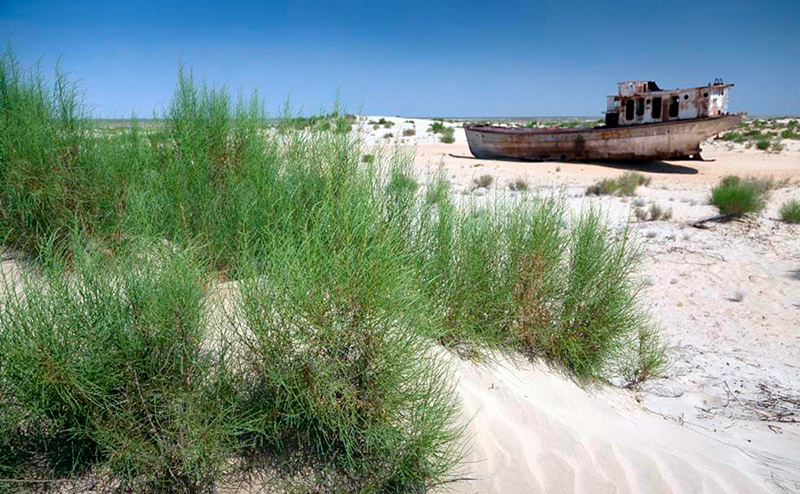 ученые узбекистана, россии, казахстана и китая вместе изучат аральское море