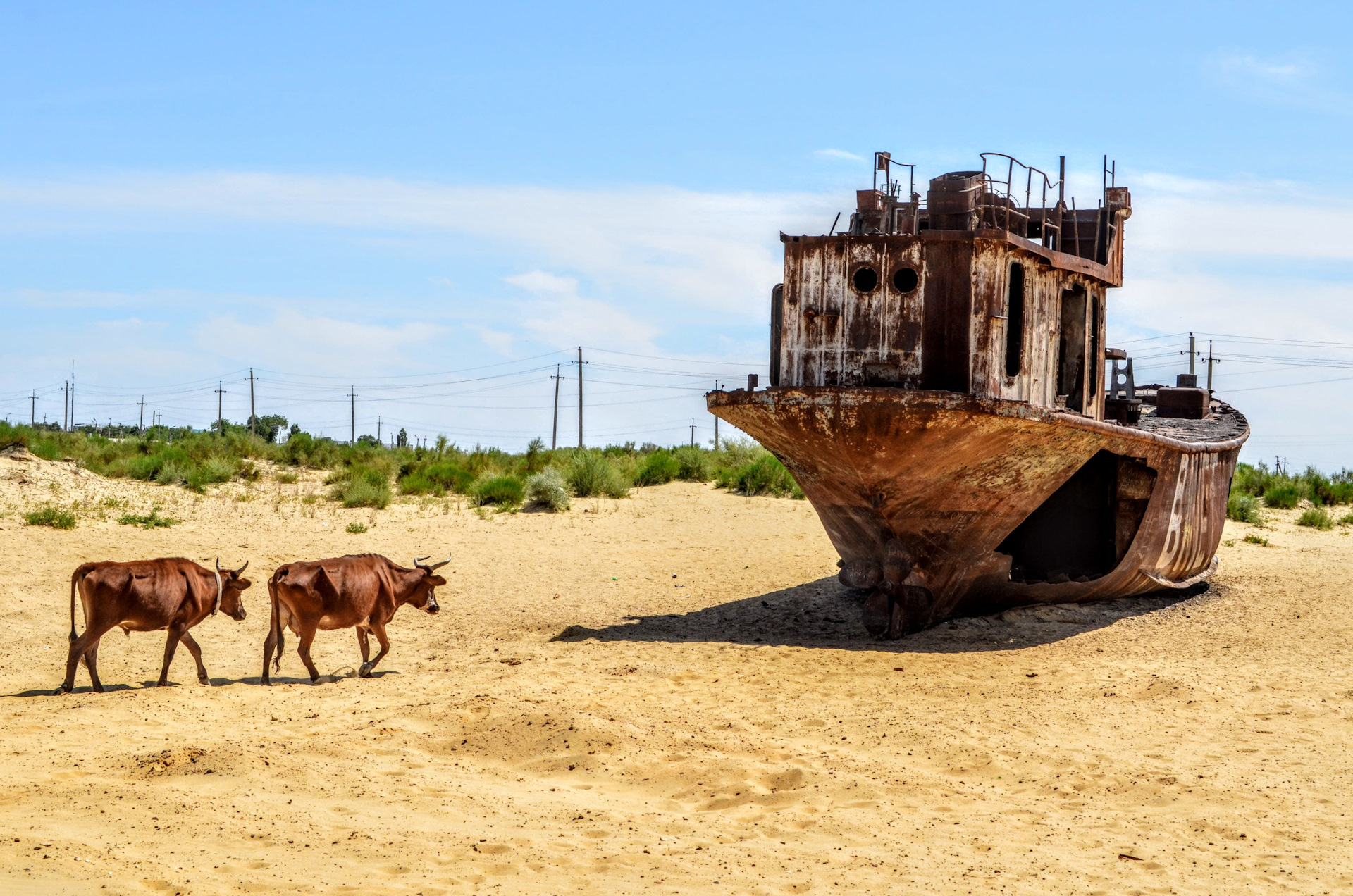 президента казахстана избрали президентом международного фонда спасения арала