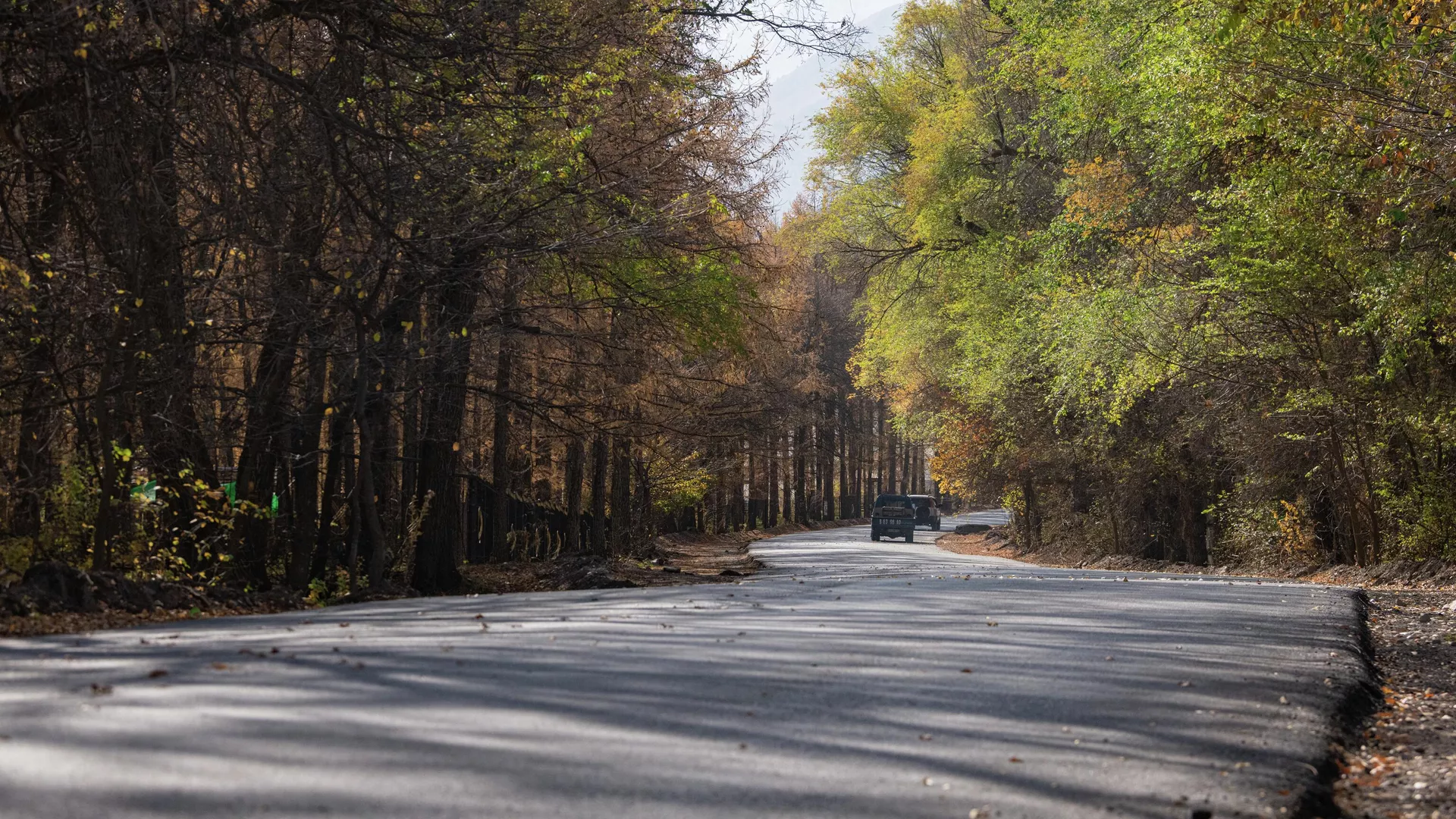 кратковременные дожди пройдут в узбекистане и кыргызстане: погода в четверг, 19 сентября 2024