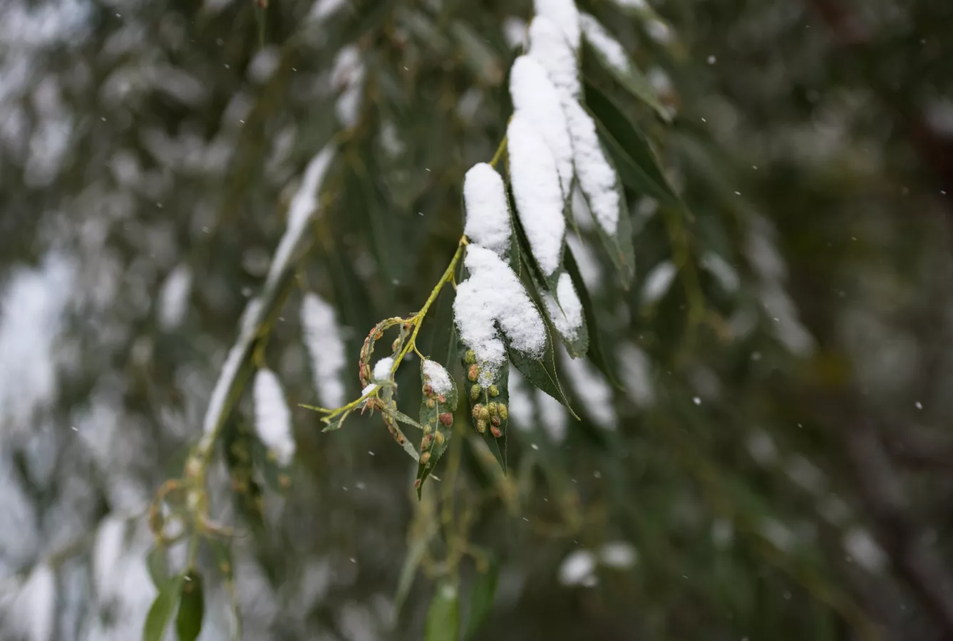 холодно и преимущественно без осадков будет в казахстане: погода во вторник, 15 октября 2024