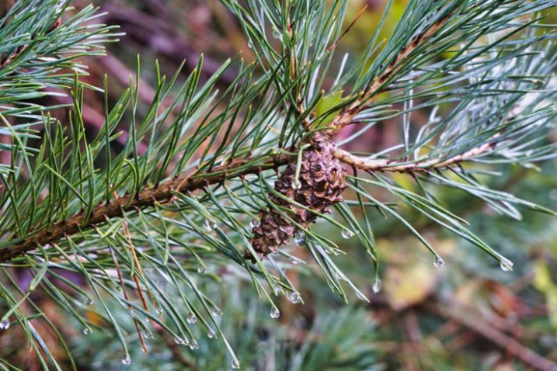 тепло идет в казахстан: погода в четверг, 29 февраля 2024