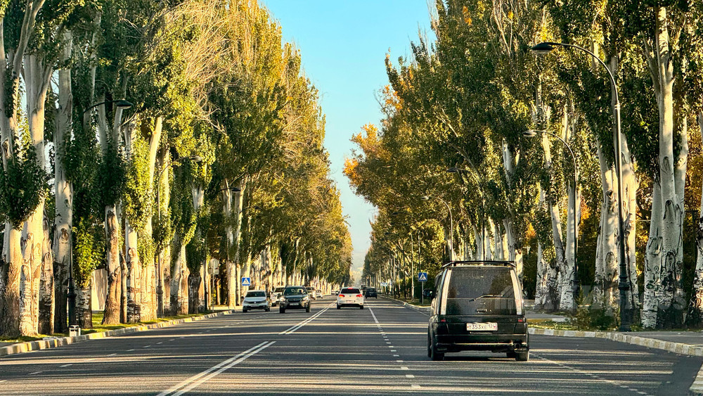 в ташкенте возможен дождь, в бишкеке прохладно и без осадков: погода в пятницу, 25 октября 2024