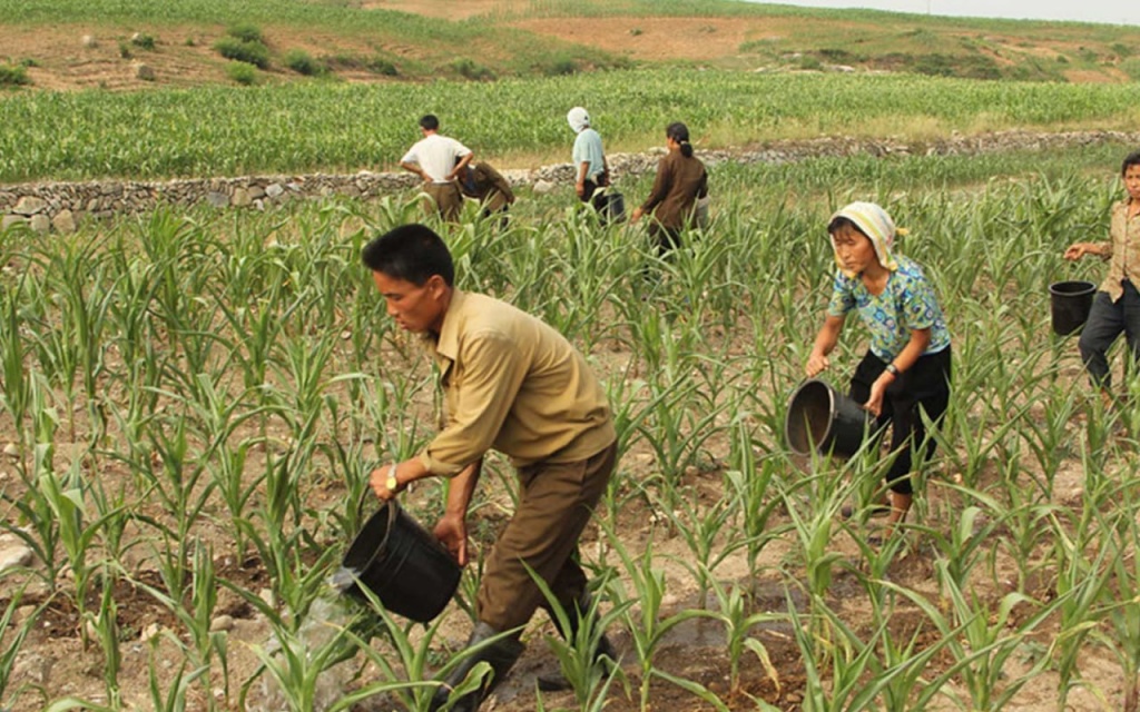 IMG_20250908_064427_000.jpg IMG_20250908_064427_000.jpg