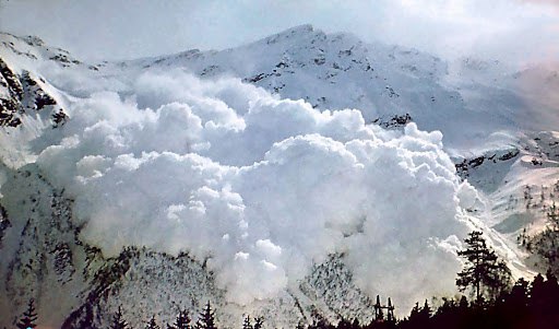 IMG_20251203_061921_452.jpg IMG_20251203_061921_452.jpg