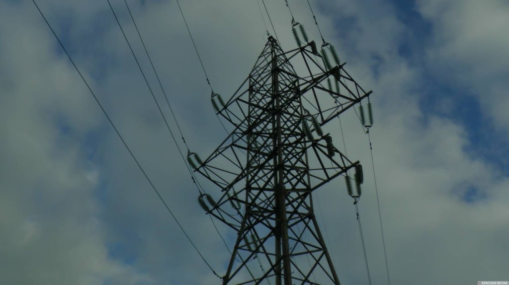 IMG_20251117_133554_772.jpg IMG_20251117_133554_772.jpg