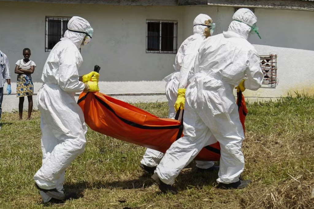 eboll.jpeg